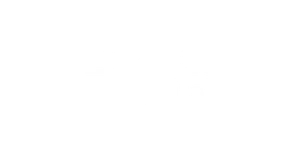 Logo Brasil Capital, cliente da Spedy